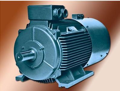電動(dòng)機(jī)保護(hù) 電動(dòng)機(jī)保護(hù)